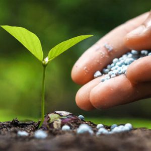 Fertilizers