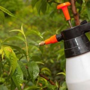 Fungicides