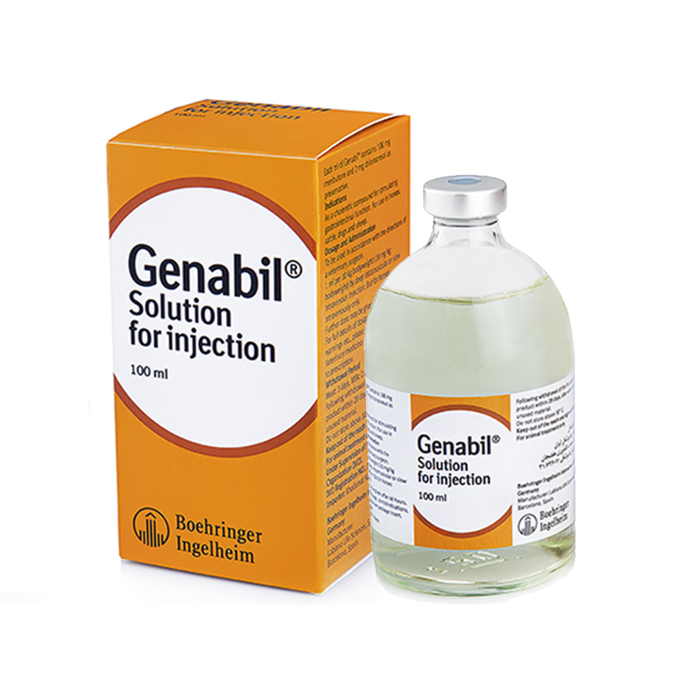 Genebil-Img