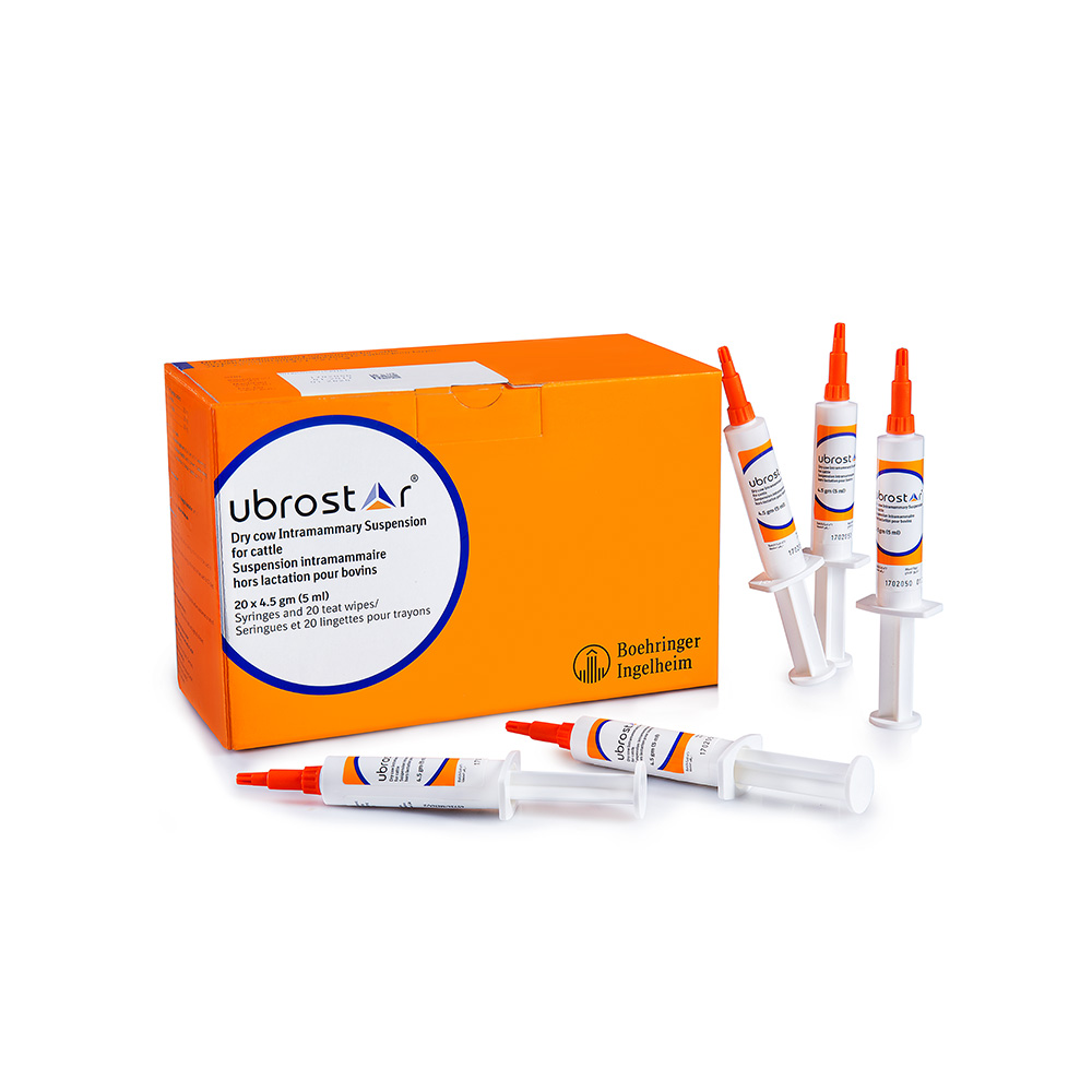 Ubrost-Img